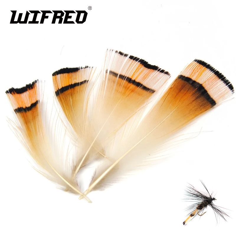 Lot de 50 pièces de tête de fa - Fishing Equipment Brands avis et prix
