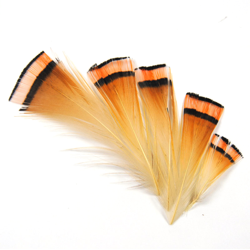 Lot de 50 pièces de tête de fa - Fishing Equipment Brands avis et prix