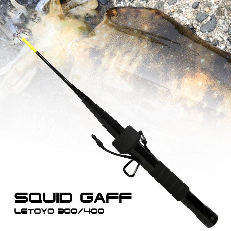 Crochet d'ancrage télescopique - Fishing Equipment Carp avis et prix